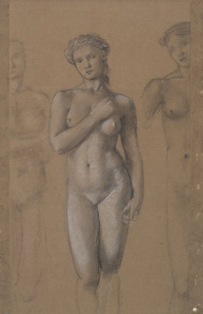 Female Nude by Edward Burne Jones